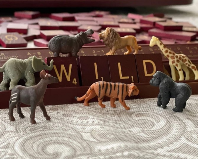 Figurki mini zwierzęta TOOB Safari Ltd.