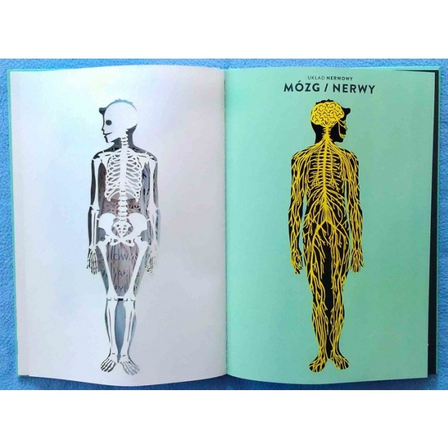 Książka "Anatomia. Obraz ludzkiego ciała..." pop-up Wydawnictwo Mamania