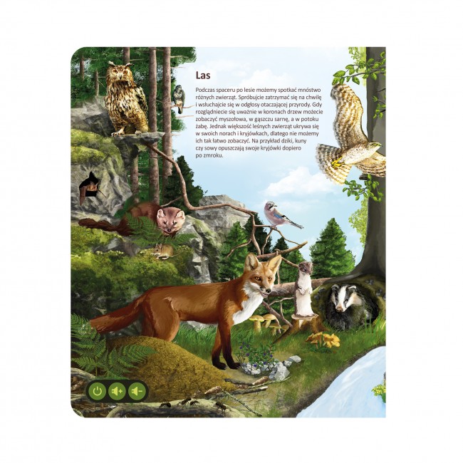 Książka Czytaj z Albikiem Albi - Świat zwierząt