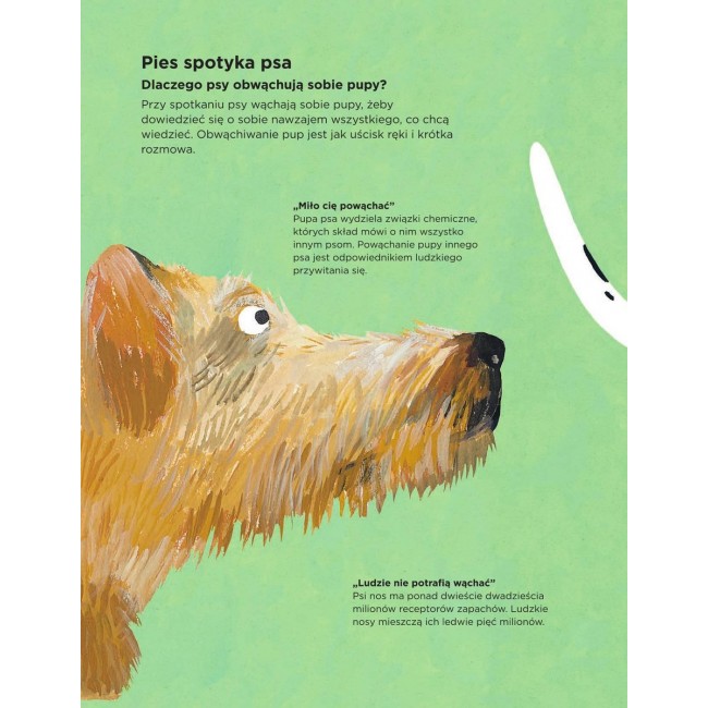 Książka "Dlaczego psy się obwąchują?" Wydawnictwo Media Rodzina