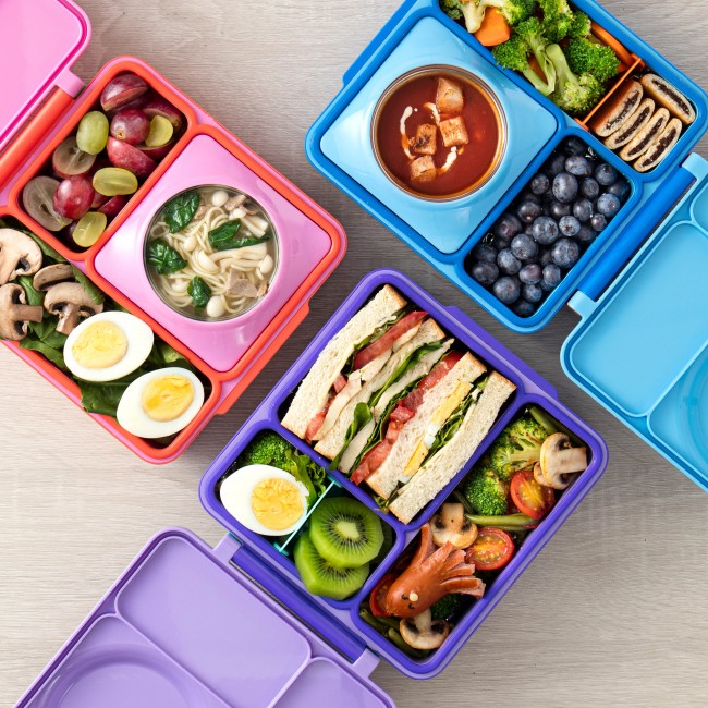 Lunchbox z termosem OmieBox OMIE - Meadow