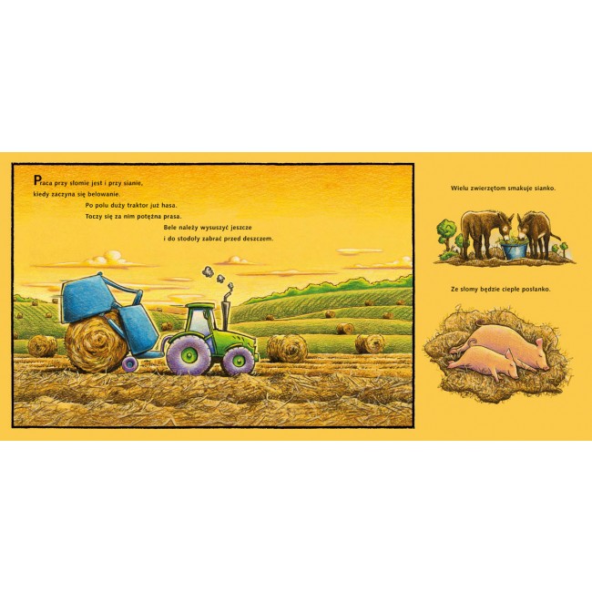 Książka "Na placu budowy pasą się krowy!" wydawnictwo Nasza Księgarnia