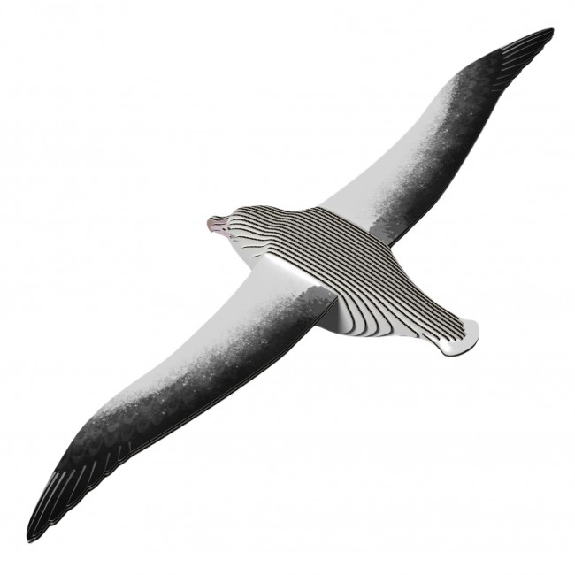 Eko Układanka 3D Eugy - Albatros królewski